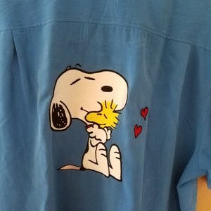 Photo of Kyrie Design