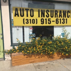 Photo of Global International Insurance Sales