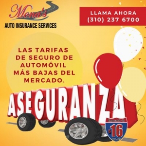 Photo of Mona's Auto Insurance Services