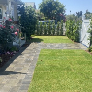 Photo of All American Landscape