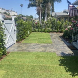 Photo of All American Landscape