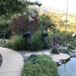 Glendale Mary Cardea Landscaping
