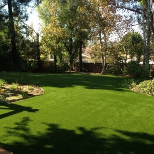 Photo of Green Forever