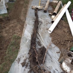 Photo of Professional Drainage Experts