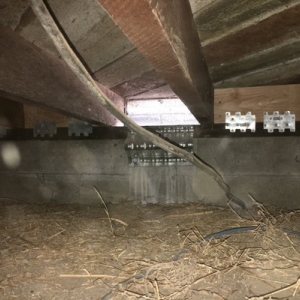 Photo of Seismic Safety