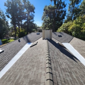 Los Angeles Lara's Roof