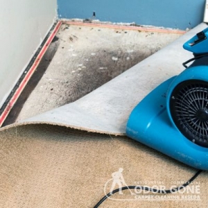 Photo of Odor Gone Carpet Cleaning Reseda