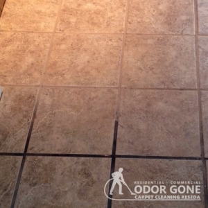 Photo of Odor Gone Carpet Cleaning Reseda