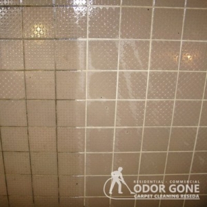 Photo of Odor Gone Carpet Cleaning Reseda