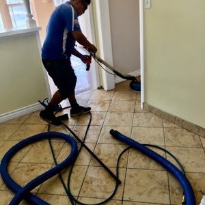 Photo of Expert Carpet Care