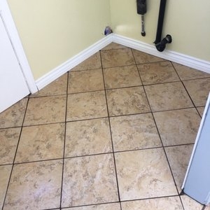 Photo of Expert Carpet Care