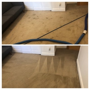 Photo of MJ Elite Carpet & Floor Care