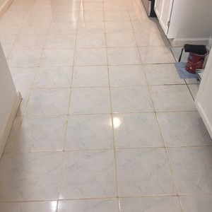 Photo of Seal Solutions