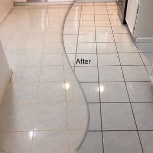 Photo of Seal Solutions