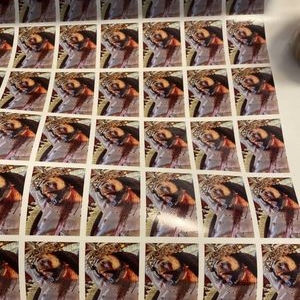 Photo of Stella Grafx Design and Printing