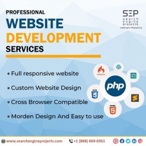 Photo of Search Engine Projects