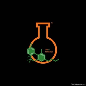 Photo of WeedSyte