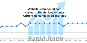 Photo of Rapid Rank SEO
