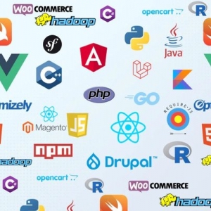 Photo of Orange Web Group