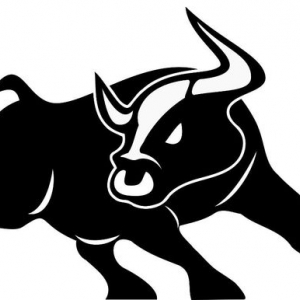 Photo of Taurus Quick Loans