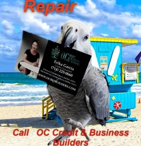 Photo of OC Credit & Business Builders