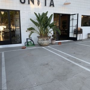 Photo of Unita
