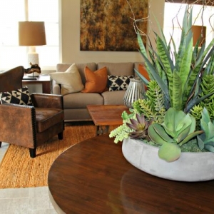 Photo of Paloma Apartments Homes