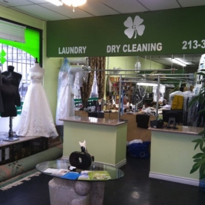 Photo of Green Dry Cleaners