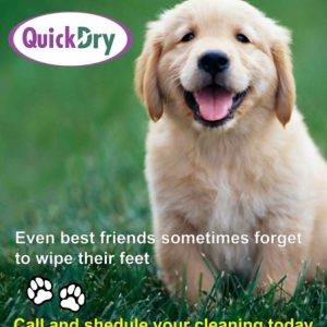 Photo of Quick Dry Superior Carpet & Upholstery Cleaning
