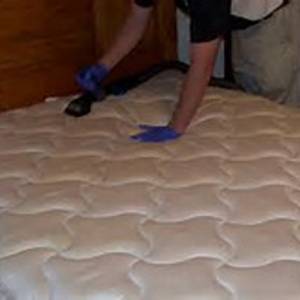 Photo of 100% Non-Toxic Green Carpet Cleaning Call Now