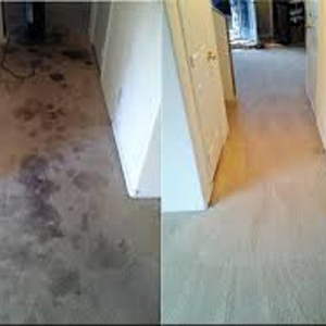 Photo of Upholstery Cleaning Los Angeles