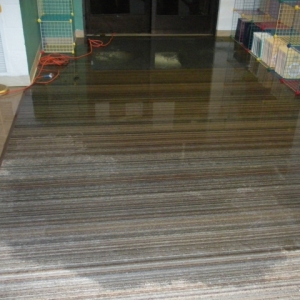 Photo of Eco Clean Carpet Cleaning