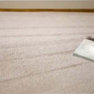 Los Angeles Eco Clean Carpet Cleaning