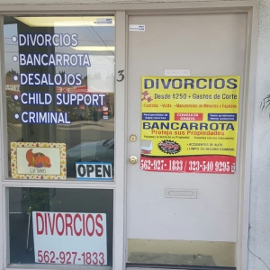 Downey Millennium Profesional Services