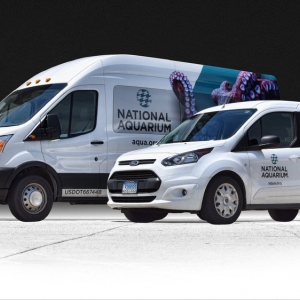 Photo of Baltimore Graphics Company