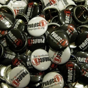 Photo of Blue Sheep Buttons