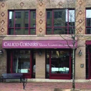 Photo of Calico