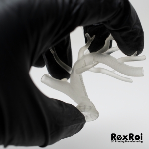 Photo of RexRoi 3D Printing Manufacturing