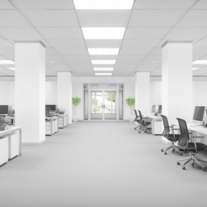 Photo of Moving Plus