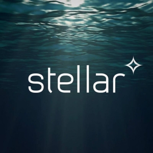 Photo of Stellar Digital Design Agency