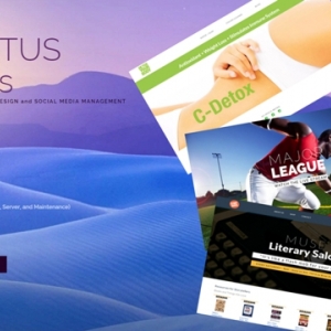 Los Angeles Cactus Pants Web Design