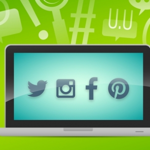 Photo of Cactus Pants Web Design