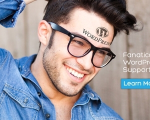 Photo of Wordpress Support