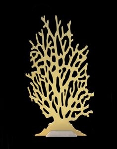 Photo of CC Design
