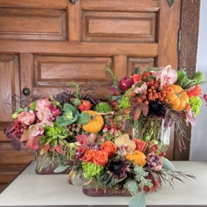 Photo of Designs By David