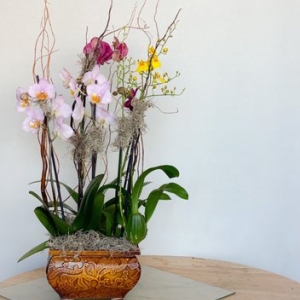 Photo of Westwood Flower Shop