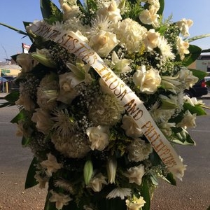Photo of David's Flowers