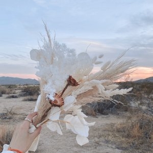 Photo of La Petite Fleur