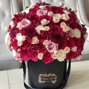 Photo of Coral Path Designs