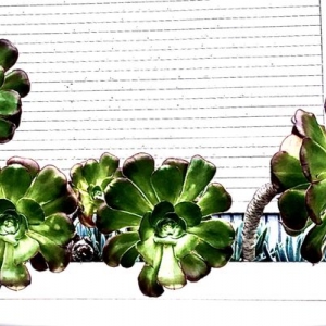 Photo of Designs By DF